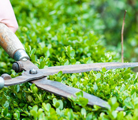 Crew maintaining a manicured residential lawn in Land O' Lakes, FL