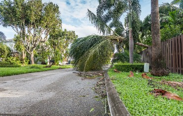 Irrigation system installation and drainage grading in Land O' Lakes, FL